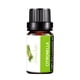 thumbnail image 1 of Teissuly 10ml Aromatherapy Plant Water Soluble Humidifier Car Aromatherapy Essential Oil Teissuly WER202311271846, 1 of 1