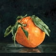 thumbnail image 3 of Caroline, Emma 12x12 Black Modern Framed Museum Art Print Titled - Dark Orange Still Life II, 3 of 5