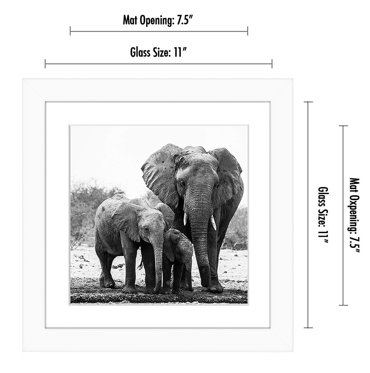 11 x 11 Black Picture Frame - Displays Photos 8 x 8 with Mat