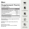 thumbnail image 6 of BIGVITA Slim+ | Supports Healthy Metabolism, Gut Health - Vegan, Hormone-Free, 90 Capsules, 6 of 6