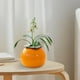 thumbnail image 1 of Maceta Bonsai Pot Cerámica Forma Naranja Vintage,Linda decoración del hogar,Mini lata de té Macetas de cerámica para interiores Contenedor para balcón , medio Macarena Maceta Naranja, 1 of 8