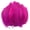 Hot Pink, variant on Clearance Under $0.99 Craft Feathers Natural for DIY Crafts Cosplay Wedding Halloween Decoration Costume Accessories and Party Craft Projects 5.91x4.72 in, 100PC