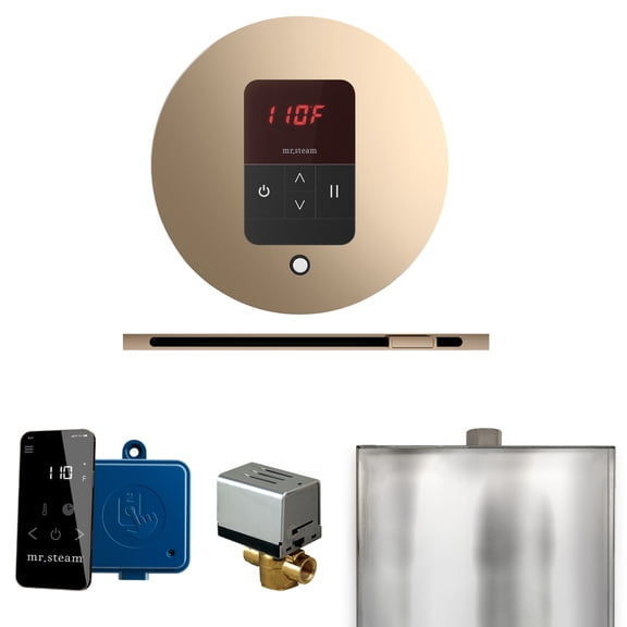 Mr Steam Basic Butler Steam Shower Pkg w/Round iTempo Control and Linear Steamhead in Polished Gold