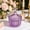 D, variant on Yardvibe Ribbed Glass Jar with Lid, 4"x4.9" Contemporary Decorative Container, Beautiful Candy Cookie Jars, Candy Dish, Cutecore Room Decor, Biscuit Containers Food Storage (B)