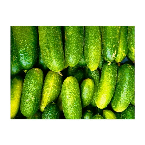 cucumbers - Photography Fruit Kitchen Decor Garden Botanical Nature Summer Unframed Wall Art Print 5 x 7 inches