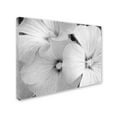 thumbnail image 2 of Trademark Fine Art "Sheer Malva" Canvas Art by Kathie McCurdy, 2 of 3
