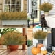 thumbnail image 5 of HWRETIE Plantas colgantes artificiales para exteriores,decoración para bodas y jardines en interiores y exteriores,vegetación mixta con pasto de caballito de mar,lavanda y espiga de trigo, 5 of 7