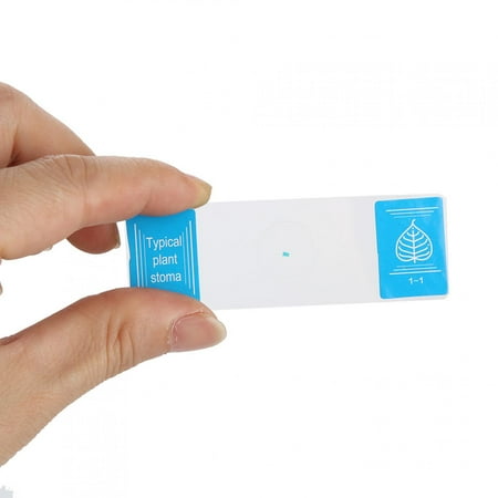 

Mavis Laven Microscope Slide Uniformly Specimens Slide For Biological
