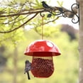 thumbnail image 4 of Cestas colgantes de flores, comederos para pájaros, campanillas de viento y linternas: ideales para la decoración de patios y jardines Ganchos para macetas de pájaros para exteriores, 4 of 6
