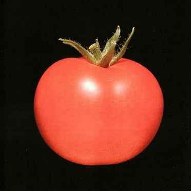 Chronophage - Chronophage - Rock - CD