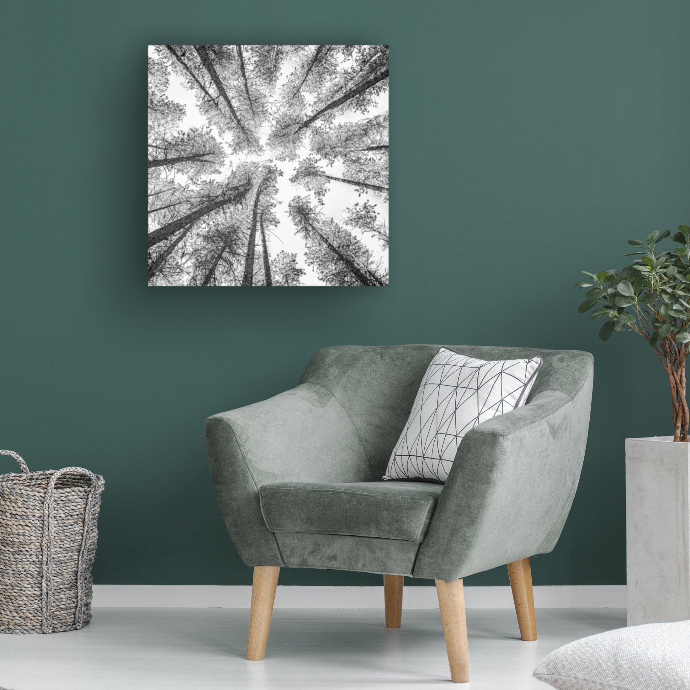Trademark Fine Art Rob Darby Tree Etching 002 Canvas Wall Art
