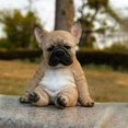 thumbnail image 4 of Estatua De Cachorro De Bulldog Francés Soñoliento Jardín Mini Decoración De Jardín Linda,b, 4 of 5
