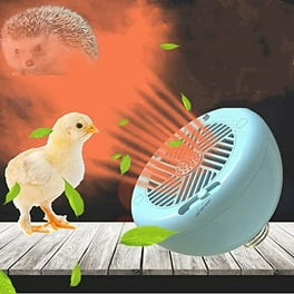 Portable Heater Dog House Heater With 2 ModleThermostat 800W 1200W Electric Pet Heaters Winter for Outdoor Chicken Coop Indoor Rabbits Cats Protable Greenhouse Heater Christmas Gift Walmart