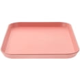 thumbnail image 1 of unbranded Plato Para Terrarios Color Rosa Con Superficie Lisa Y Borde Protector, 1 of 7