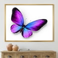 thumbnail image 2 of Designart 'Blue and Violet Butterfly' Modern Framed Canvas Wall Art Print, 2 of 5