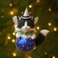 thumbnail image 6 of 5PCS Christmas Animal Ornament Balls,Xmas Tree Animal Ball Ornament,Vivid 2D Acrylic Animal Decoration,for Animal Lovers,Party Centerpiece Mantel,Fall Winter Home Decor(Fox), 6 of 9