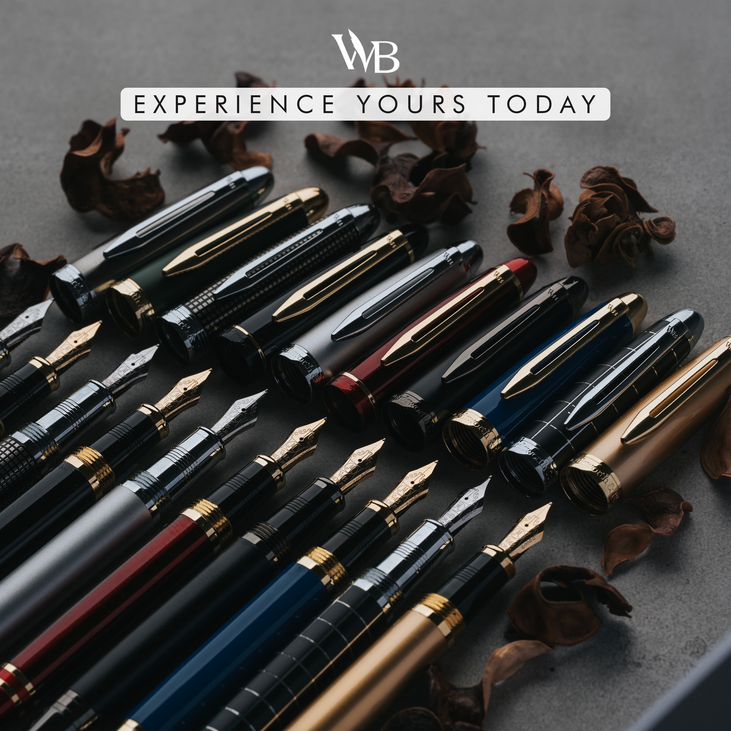 Wordsworth & Black Majesti Fountain Pen-(Green), Luxury Case, 24K Gold Finish; 18K Gilded Medium Nib- Ink Cartridges, Refillable Ink Converter-Calligraphy Pen-Best Business Gift Set for Men & Women