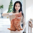 thumbnail image 5 of Kraoden Cat Plush Body Pillow, Cat Stuffed Animal, Soft Plush Pillow, Kitten Plush Throw Pillow Doll Big Plush Toy Decoration Doll Gift for Kids Boys, 5 of 8