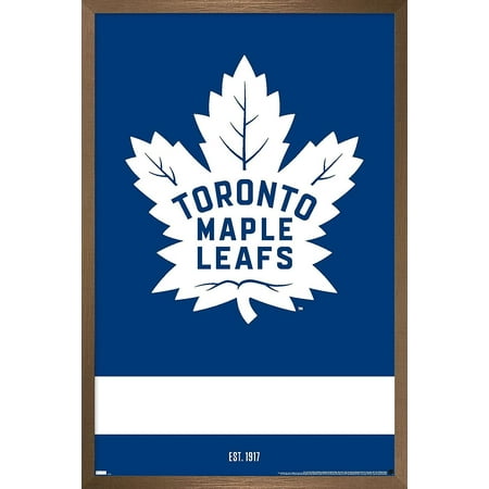 Toronto Maple Leafs Preschool Home Replica Custom Jersey - Blue
