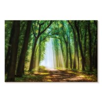 Elephant Stock Curtain Of Light Wall Art - Horizontal Canvas Wall Art - Living Room Wall Decor - Nature Canvas - Green And Gray Decor By Lars Van De Goor - 24" x 16"