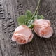thumbnail image 1 of pstuiky Ramo de rosas artificiales de dos ramas para decoración del hogar - Ramo de rosas artificiales para pared, 1 of 9