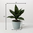 thumbnail image 7 of Sullivans Artificial Potted Sansevieria 10"H Green, 7 of 7