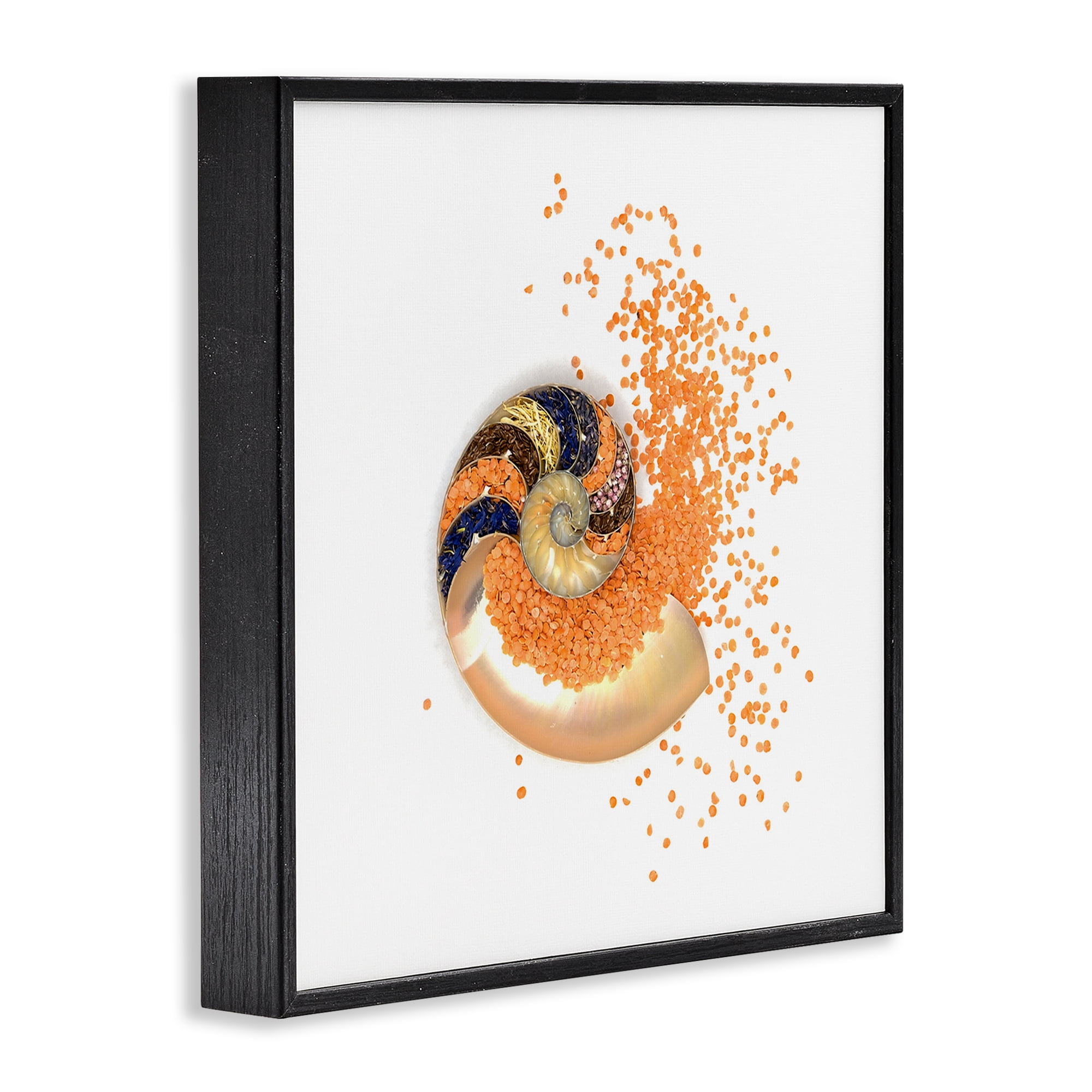 Stupell Industries Orange Nautilus Spiral Black Framed Giclee Art, design by Beth Adoette