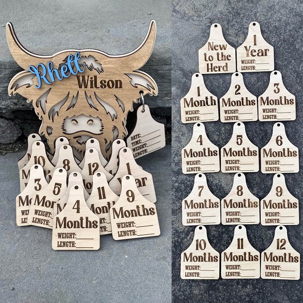 Tarjeta de crecimiento de bebé Highland Cow, regalos de anuncio de nacimiento Reversible de madera para recién nacidos