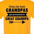 thumbnail image 4 of Inktastic Only the Best Grandpas Get Promoted to Great Grandpa T-Shirt, 4 of 5