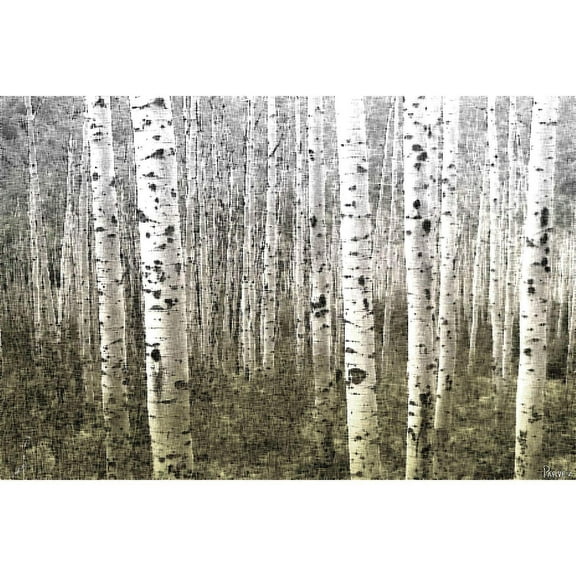Aspen Highlands by Parvez Taj Painting Print on Wrapped Canvas