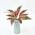 thumbnail image 6 of Artificial Potted Plants Fake Palm Plants Small Faux Tropical Palm Plant Tree in Pots Bohemian for Home Room Office Tabletop Desk House Indoor Decoration, 6 of 6