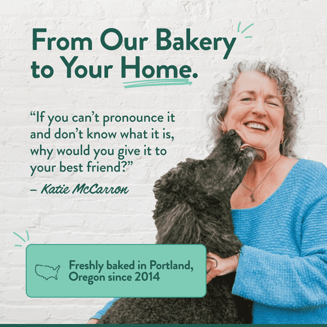 Portland Pet Food Company Bacon Dog Treats Healthy Biscuits for Large Medium & Small Dogs - Grain-Free, Human-Grade, All Natural Cookies, Snacks & Training Treats - Made in The USA - 3 Pack (5 oz)