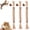 Silver, variant on Nylatails Silvervine Dental Stick - Silvervine Sticks for Cats, Nylatails Cat Chew Stick Nylatails Natural Silvervine Dental Sticks, Natural Catnip Toys Sticks Chew Toys for Teeth Cleaning