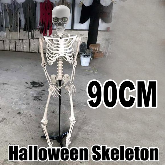 Agiferg Halloween Skeleton Prop Human Full Size Skull Hand Life Body Anatomy Model Decor
