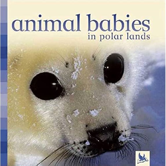 Pre-Owned Animal Babies: Animal Babies in Polar Lands (Board book)