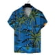thumbnail image 2 of Camisas de verano nuevas con estampado 3D de flores hawaianas para hombre y mujer, camisas de manga corta con solapa y estampado de atardecer en la playa, ropa de calle, 2 of 4