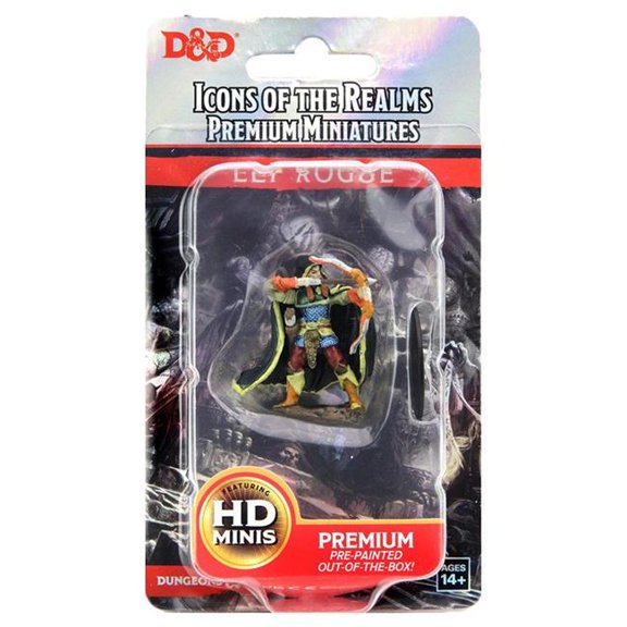 WizKids WZK93048 Dungeons & Dragons IR Prem ELF Rogue Male Miniature Game