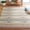 Brown/Ivory, variant on SAFAVIEH Cotton Kilim Faris Southwestern Cotton Area Rug, Aqua/Ivory, 4' x 6'
