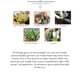 thumbnail image 3 of Led Grow Light Full Spectrum Phyto Grow Lamp Usb Phyto Lamp Para Iluminación De Crecimiento De Plantas Serendint HA020150-00, 3 of 6