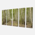 thumbnail image 2 of Arbre de Bouleaux Dense en Journée d'Été - Impression sur Toile de Forêt, 2 of 3