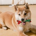 thumbnail image 1 of BotaniNest Interactive Chew Squeaky Durable Biting For Self Entertainment & Teething, 1 of 5