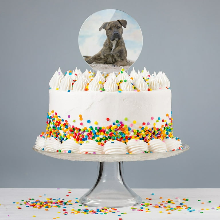Staffy birthday cheap cake