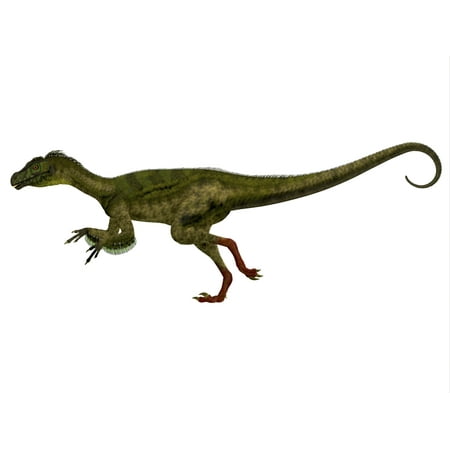 small carnivorous dinosaurs in jurassic park