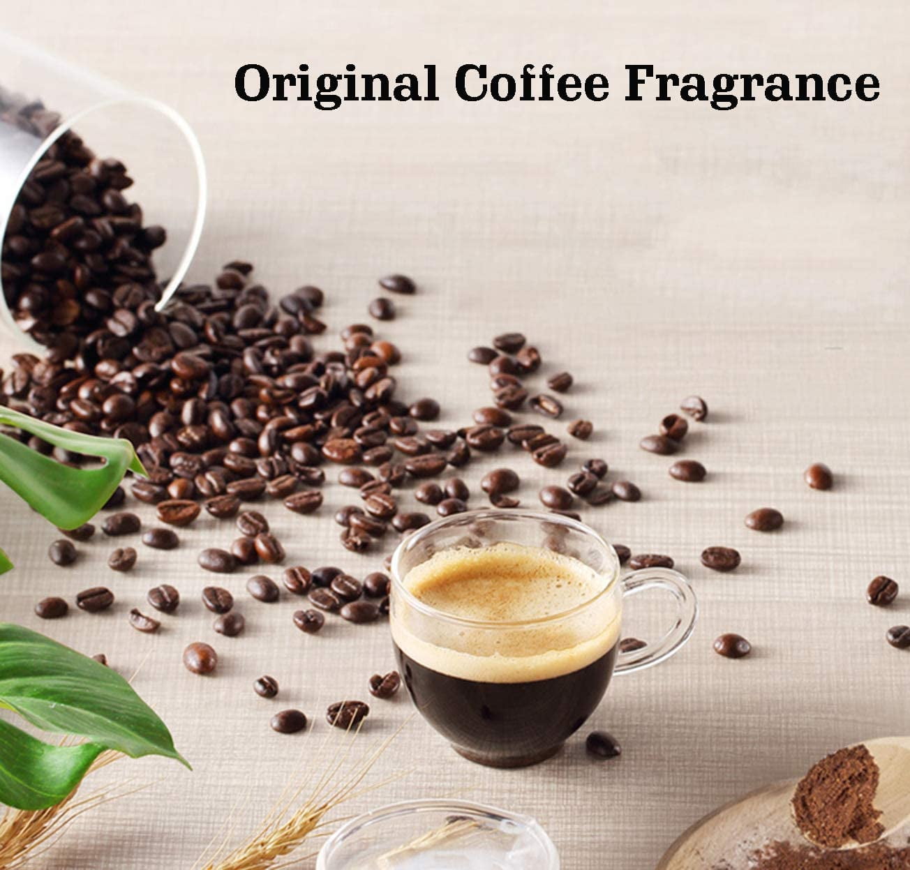 ikan 200W Electric Coffee Grinder Stainless Steel Blades Press Touch Control Spice Grinder Mill Blender