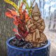thumbnail image 5 of Estaca En Maceta Plant Garden Stake Grumpy Bernie Marcadores para Fern Bern Sign (4 piezas) Likrtyny Libre de BPA, 5 of 8