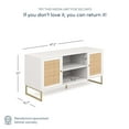 thumbnail image 5 of Nathan James Mina TV Stand with Doors for TVs up to 55", White/Gold, 5 of 9
