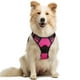 thumbnail image 1 of Arnés para perros Rabbitgoo, ajustable, sin tirones, rosa intenso, tamaño mediano, 1 of 8