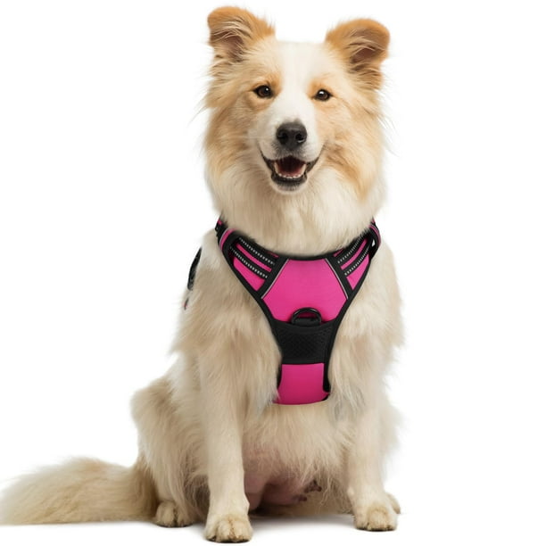 Arnés para perros Rabbitgoo, ajustable, sin tirones, rosa intenso, tamaño mediano