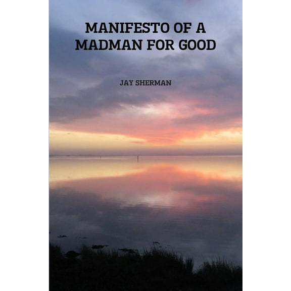 Manifesto of a Madman for Good, (Paperback)