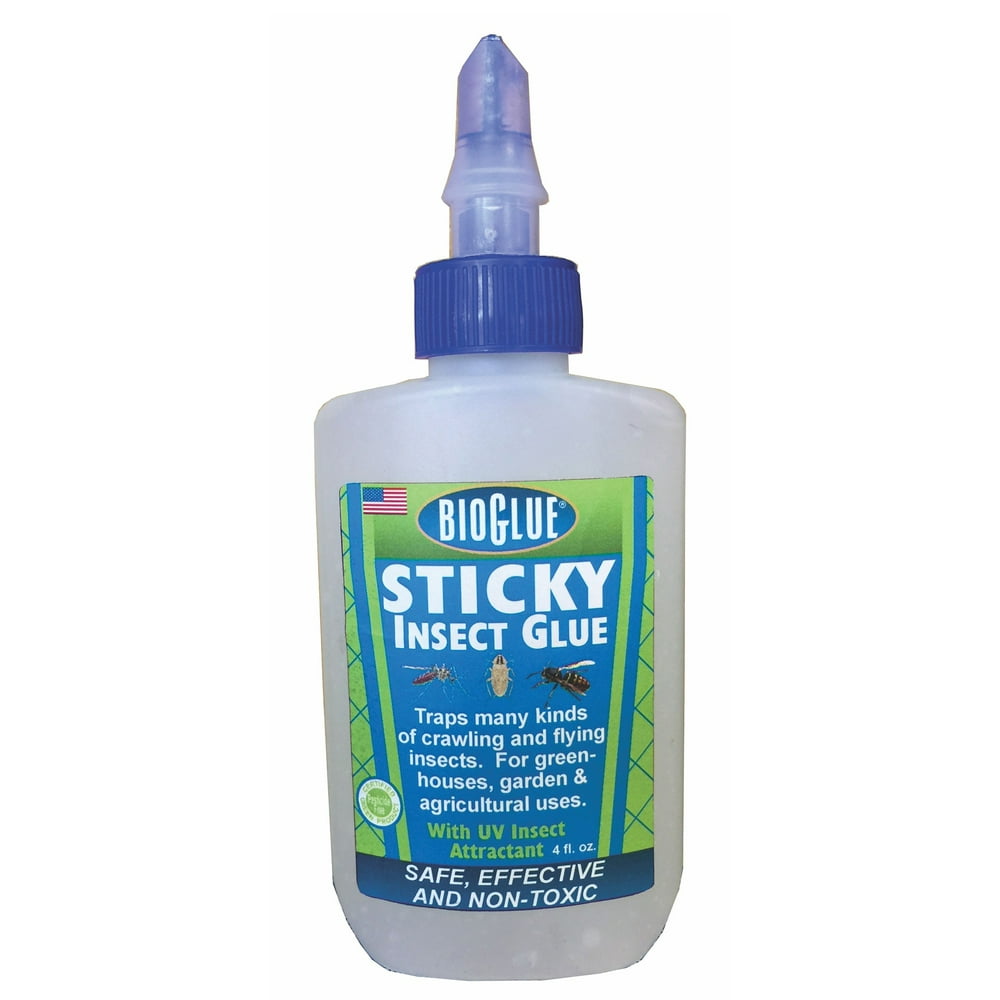 Springstar Bg8 8 Oz Bioglue Sticky Insect Glue